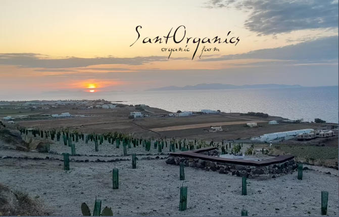 Santorini Private Agro-Educational Visit to an Organic Farm - Image 2